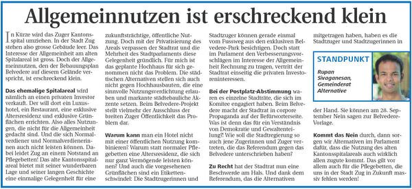 ZC. Allgemeinnutzen ist erschreckend klein; Neue ZZ, 26.8.2008.jpg